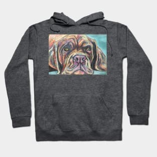 Colourful Dogue de Bordeaux Hoodie